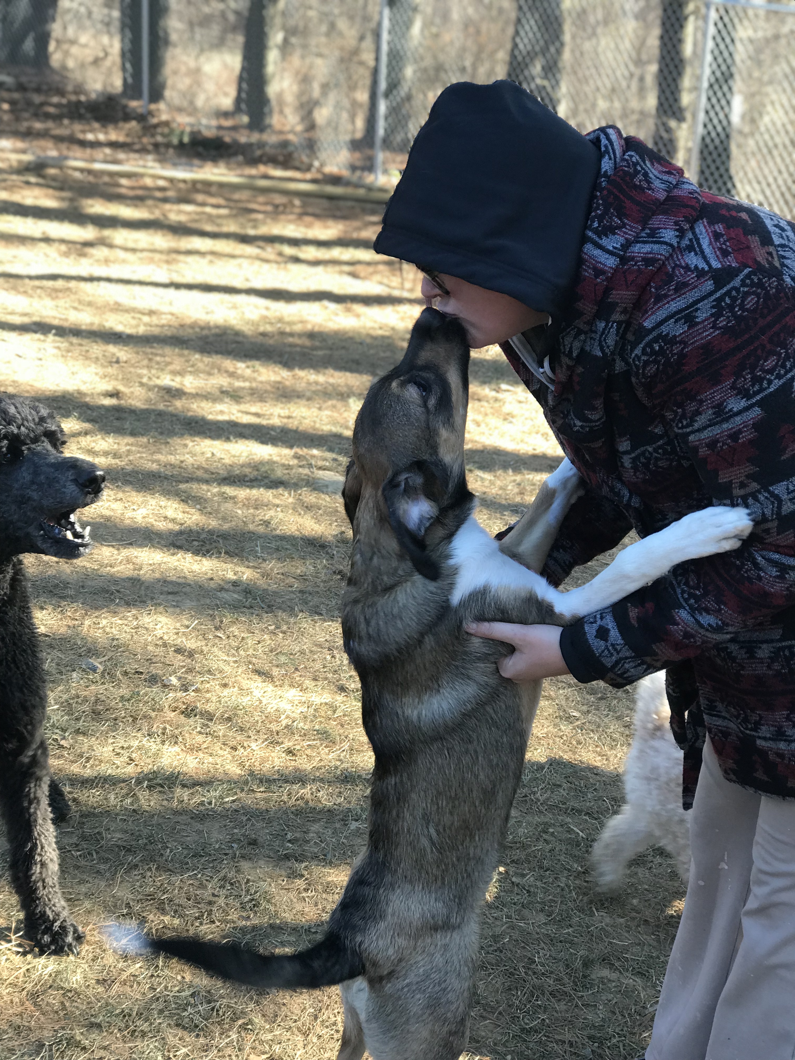 Hereford Bed & Biscuit Boarding & Grooming Kennel in Parkton, MD