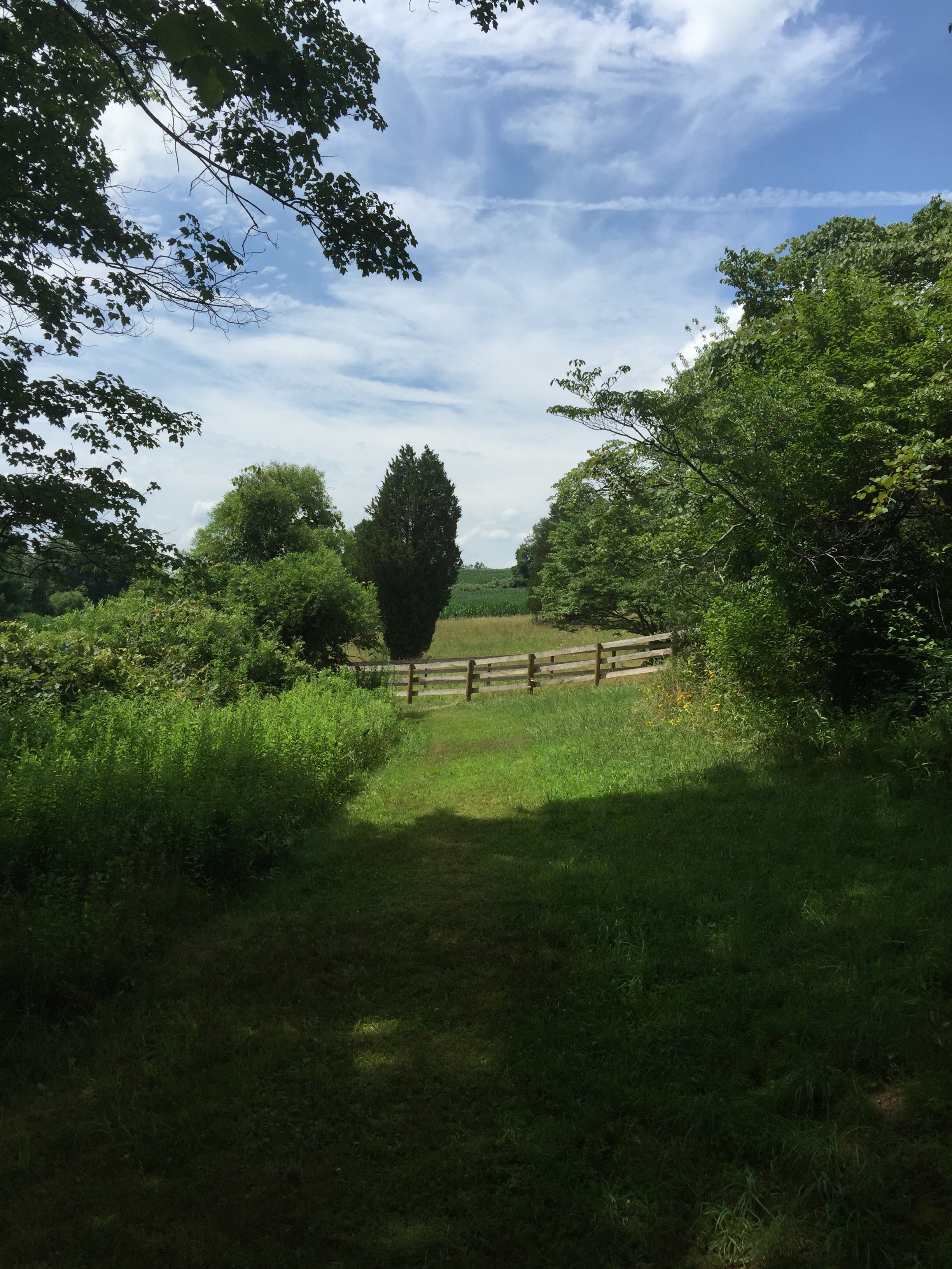 Hereford Bed & Biscuit Boarding & Grooming Kennel in Parkton, MD