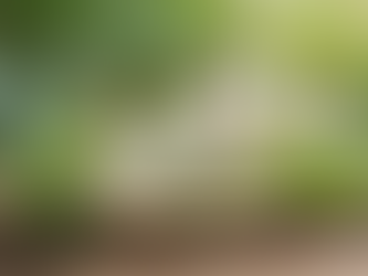 Why Choose Natural Products for Your Spa Treatments?