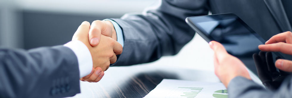 Naseer Shams - N & N Consulting Ltd. (Bridging the Gap)