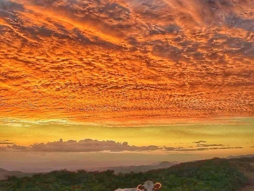 Peace & Meteors Rain on our December Days in our Glorious Southern Zone of Costa Rica