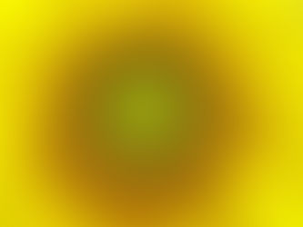 Welcoming April Showers in our Stay at Home Paradise in the Southern Zone of Costa Rica