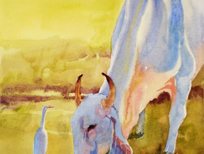 Mellow Times in March in our Southern Zone of Costa Rica