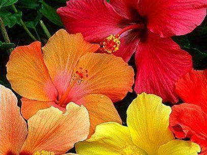 Super Moon Coming to Bless and Brighten our Southern Zone of Costa Rica