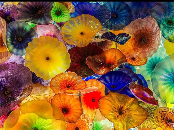 Praying for Peace & Tranquility for All Creatures in the World from our Sacred Southern Zone