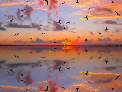 Loving the Sun & the Wind & the Sky & Life in our Southern Zone of Costa Rica