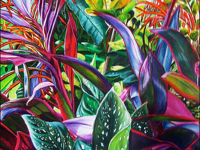 Sunny mornings & Rainy Afternoons in our Magnificent Southern Zone of Costa Rica