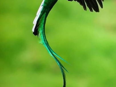 Welcome August and all its Splendor to our Southern Zone of Costa Rica