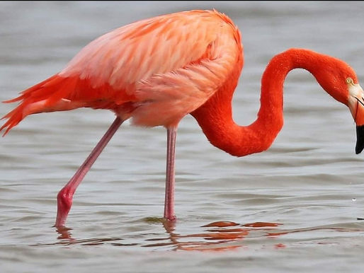 October Blessings Abound in our Beloved Southern Zone of Costa Rica