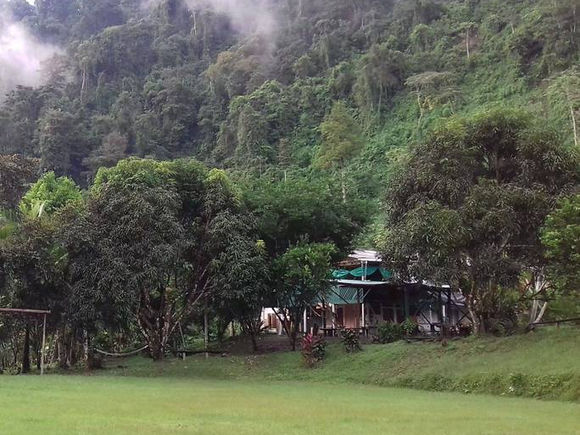 Three Seeds Eco-Education Rainforest Camp