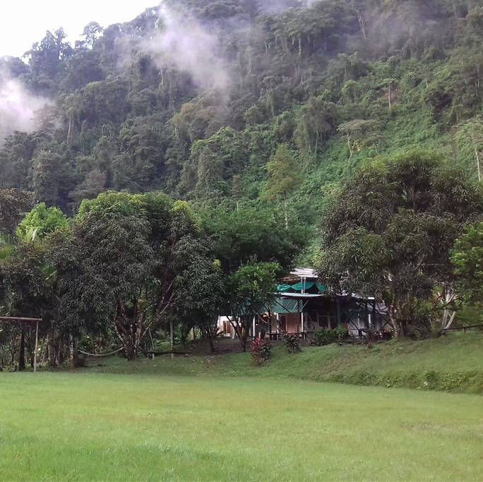 Three Seeds Eco-Education Rainforest Camp