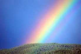 rainbow.jpeg
