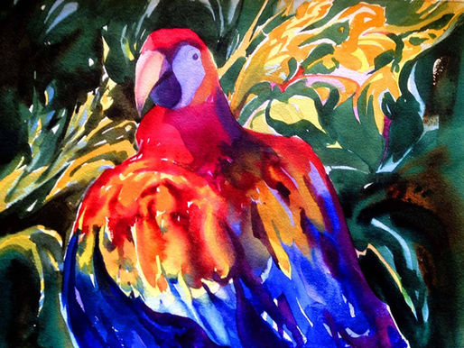 Jungle Lovin' in the Southern Zone of Costa Rica