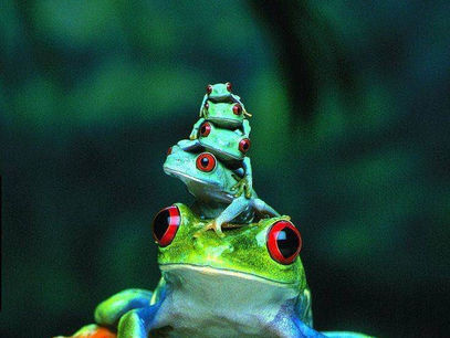 Living & Loving Life in our Southern Zone of Costa Rica