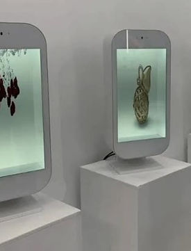 WhatsApp Image 2025-11-12 at 12.52.54.jpeg