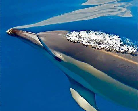 Soaking Wet in our Beautiful Southern Costa Rica
