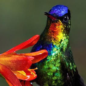 So much to be grateful for in our Southern Zone of Costa Rica