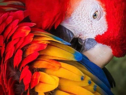 Welcoming February's Full Moon and Divine Sunsets in our Ever Colourful Southern Zone of Costa Rica