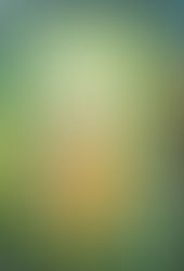 Sunshine in my Heart in our Southern Zone of Costa Rica