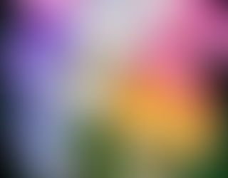 What Will the Eclipse Energy Bring to our Extraordinary Southern Zone of Costa Rica?