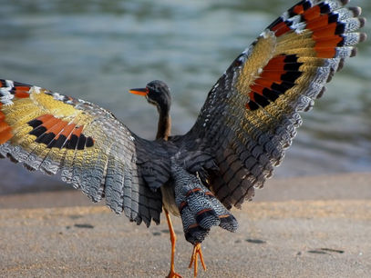 Lunar Eclipse during this Full Moon ... in our beautiful Southern Costa Rica