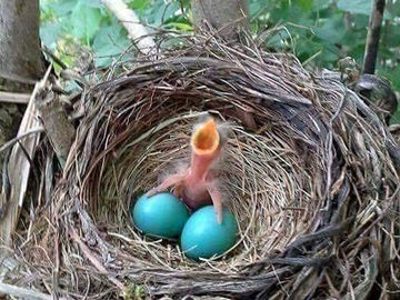Diving into Sweet December in our Divine Southern Zone of Costa Rica