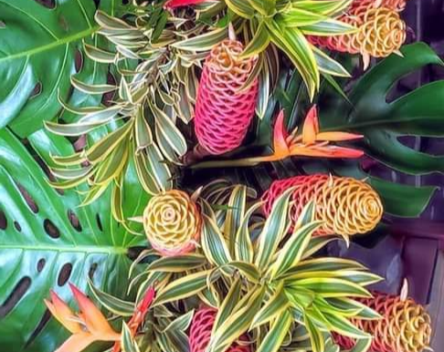 Autumnal Equinox Bringing Balance to Our Blessed Southern Zone of Costa Rica