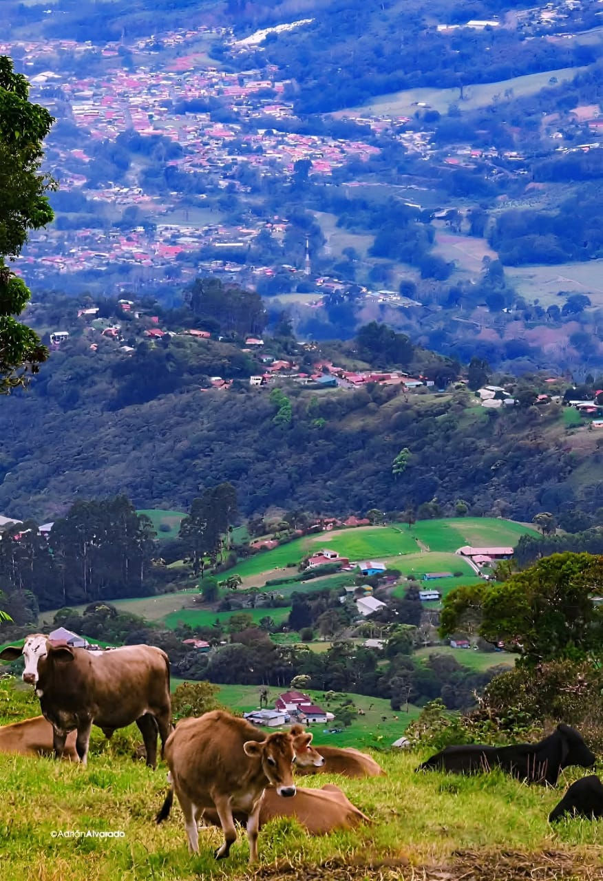 Loving the Changing Seasons & Time in the Glorious Southern Zone of Costa Rica