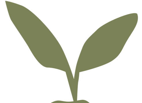 Leaves3