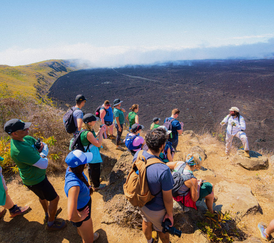 what to expect 1.jpg