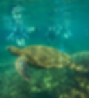 what to expect 2.jpg