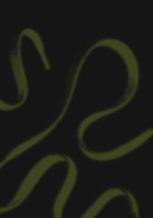 dark bg.png