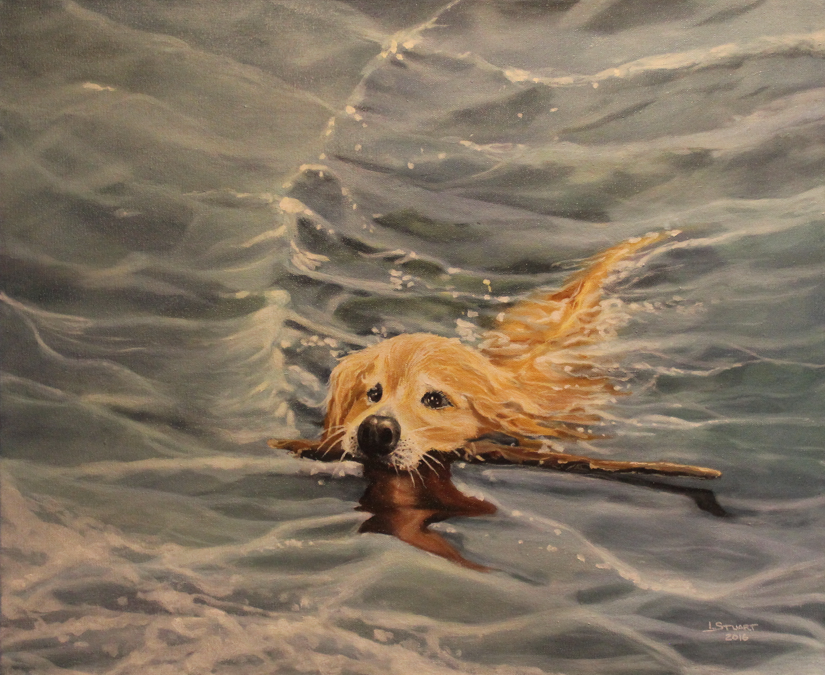 BEAU IN OCEAN