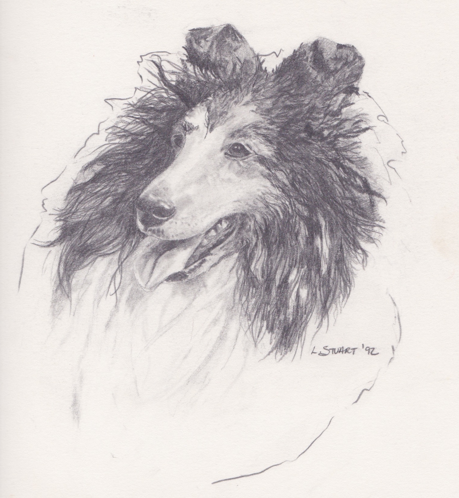 COLLIE