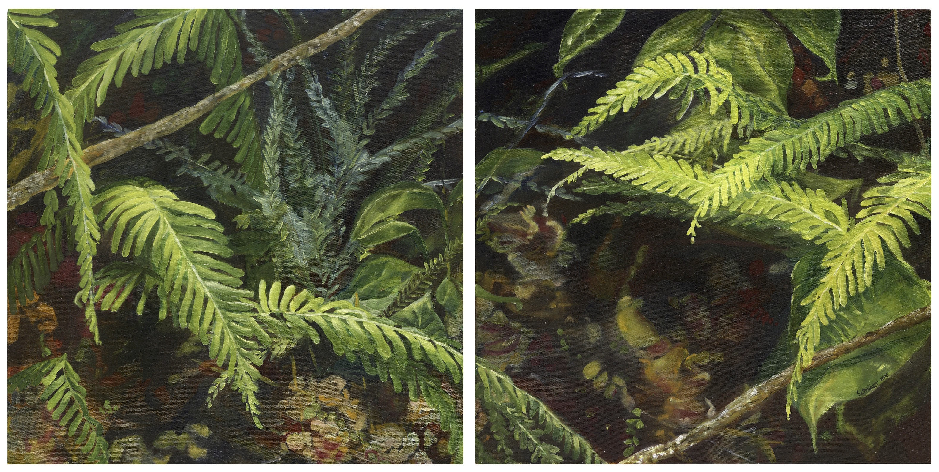 FERN MICROSCAPE