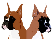 CARBINE BOXERS LOGO 5 Color Fixed.png