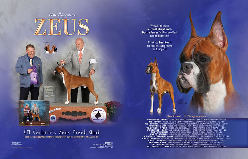 Zeus---2-page---Boxer-Digest-Web.jpg