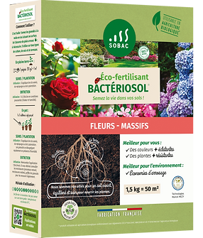 Bacteriosol fleur massif.jpg