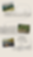Untitled design (4).png
