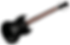 Electric Guitar