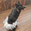 Thumbnail: Pet Tutu