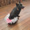 Thumbnail: Bow Tie for Tutu