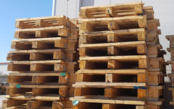 74666170_10220108517733454_6774178914974564352_n