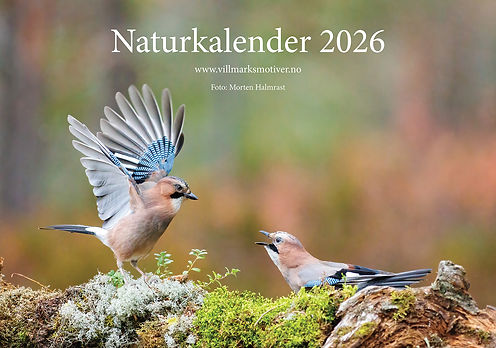 Bestill neste års naturkalender