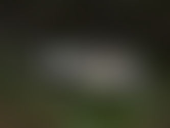 Endelig er fotoskjul-sesongen igang