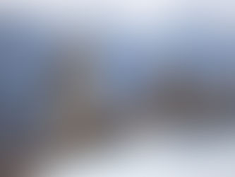 Den majestetiske hønsehauken