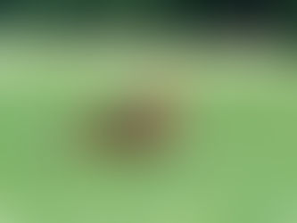 Turen hjem fra hytta ga oss en spesiell opplevelse