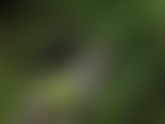 Dårlig vær betyr ikke dårlig fotovær