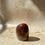 Thumbnail: Petrified Wood Polished Freeform from USA