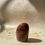 Thumbnail: Petrified Wood Polished Freeform from USA